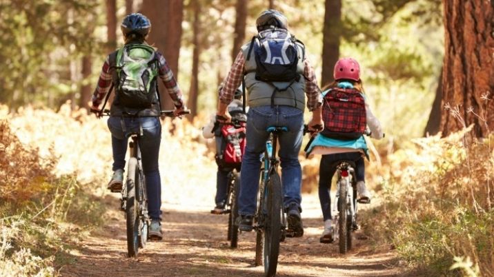 A family cycling in the woods on a sunny day