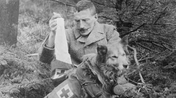 A black and white photograph showing a man pulling bandages out backpack worn by a British Red Cross first aid dog