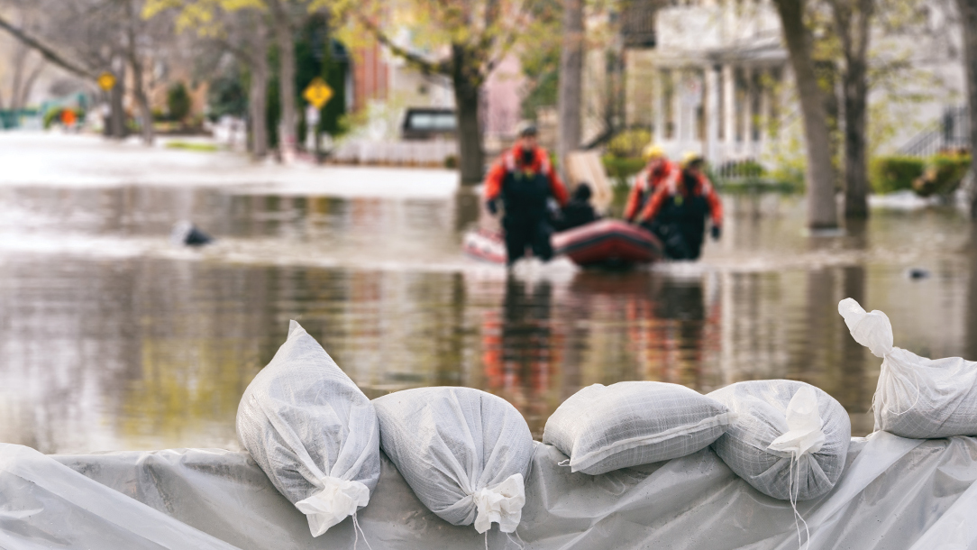 Flood sandbags create a barrier in a flooded area.