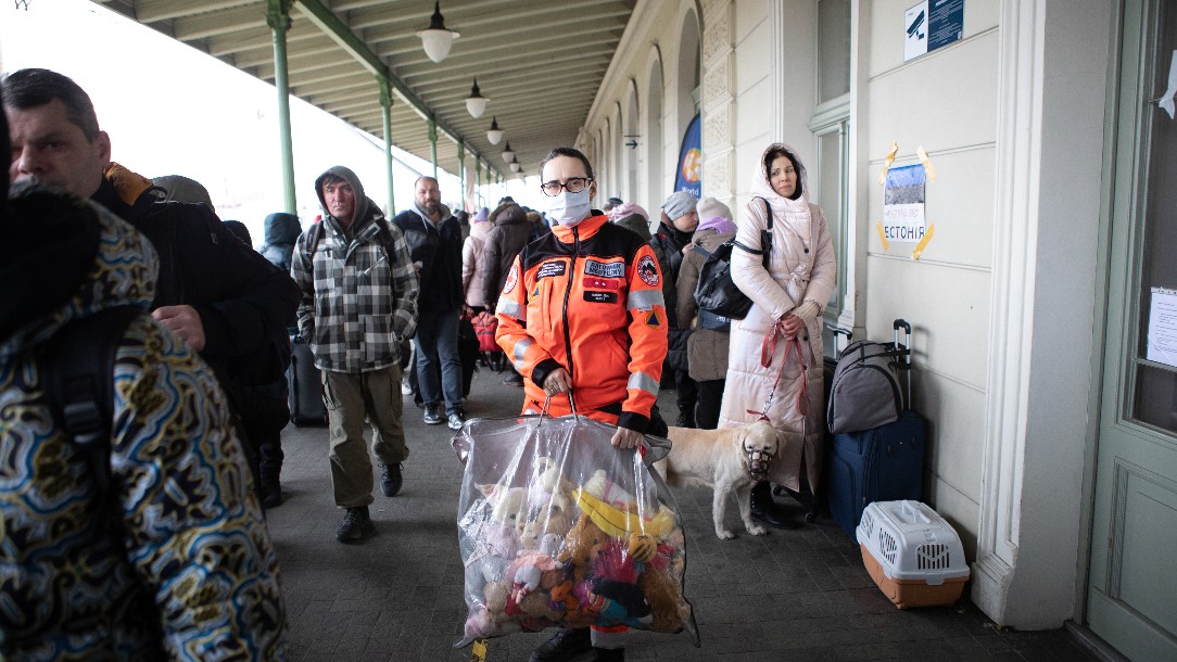 Magdalena is a paramedic volunteering at the health station at the Przemysl train station. Here she has just received notice that another train from Ukraine has arrived to the station. She will distribute toys to the children who arrive.