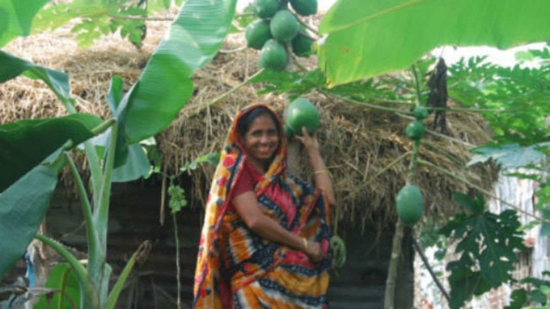 Woman in colourful sari smiles at the camera and picks fruit in dense vegetation.