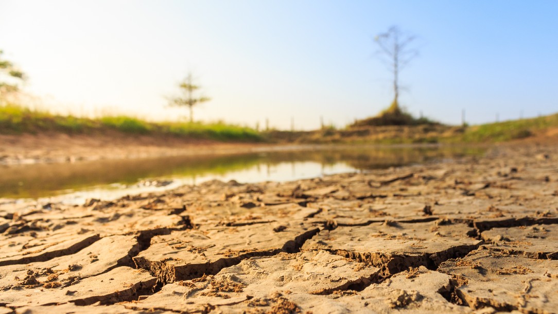 Dried reservoir