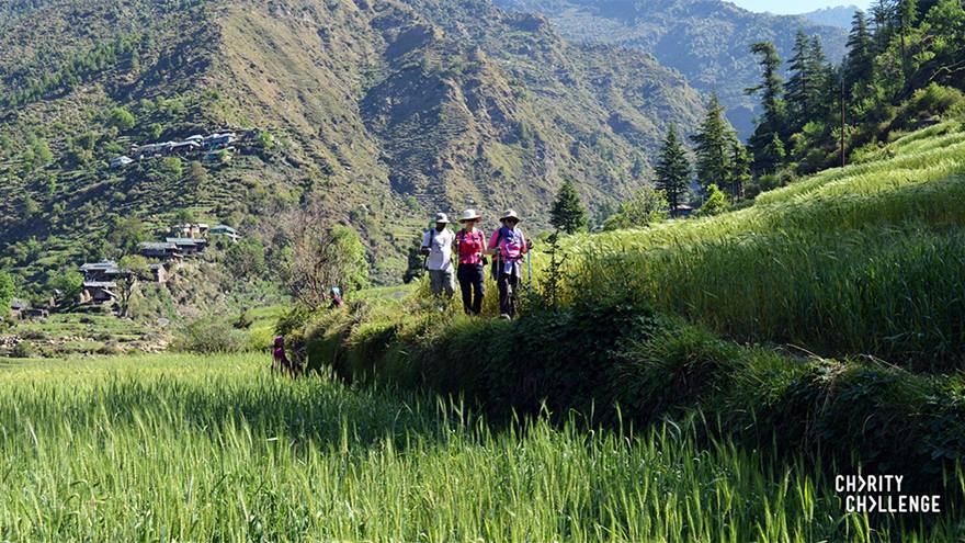 Group of walkers trek fields with Himalayan mountains in the backdrop.