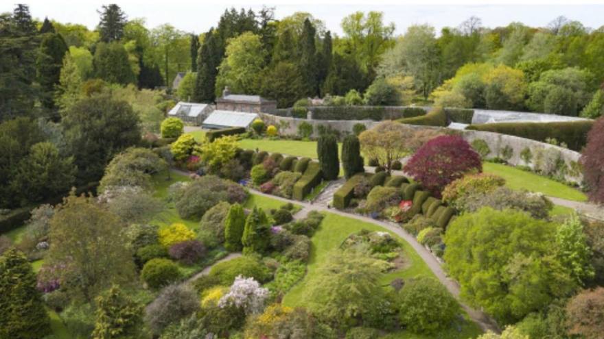 Paths surrounded by trees, bushes and flowers at Brechin Castle Gardens one of the British Red Cross open gardens.