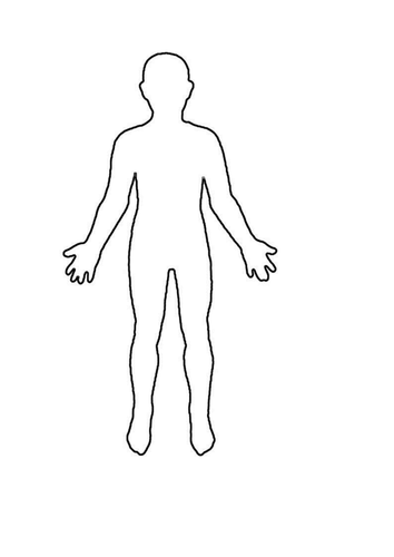 Outline drawing of a human body