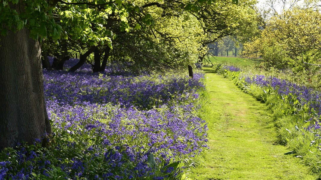 Event-Harlaxton-Open Garden