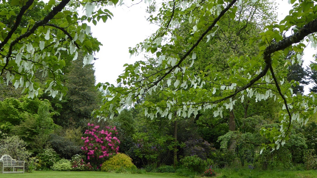 Hartwood House