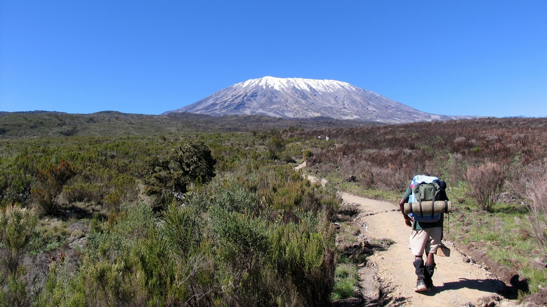 Kilimanjaro