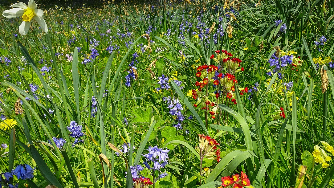 Norwell Nurseries Notts