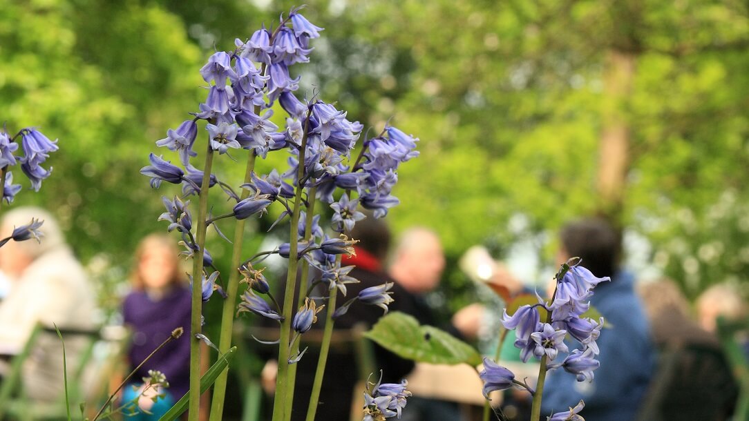 Open gardens