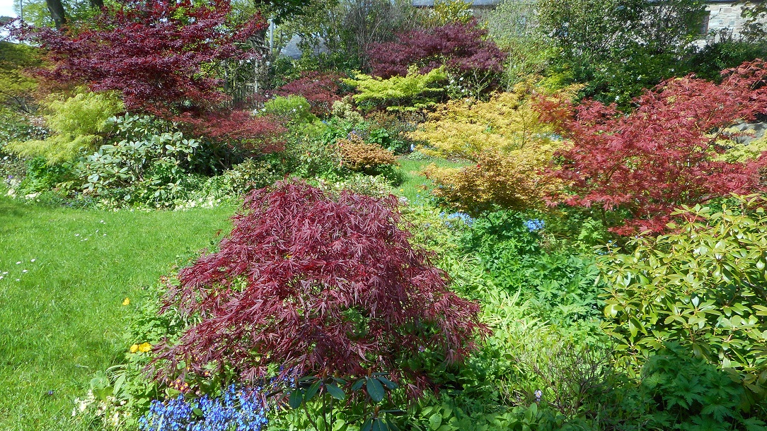 Event_POLEMONIUM_Open Garden