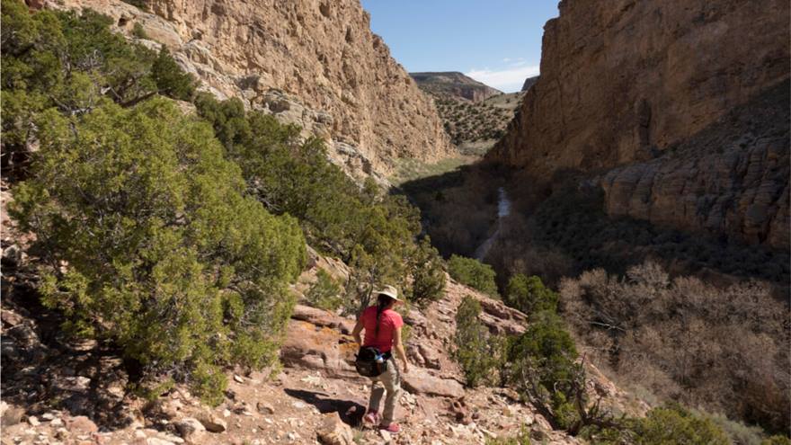 A woman hikes alone in the desert