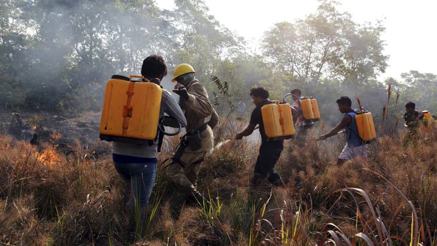 Firefighters spray water on fires in the Amazon rainforest