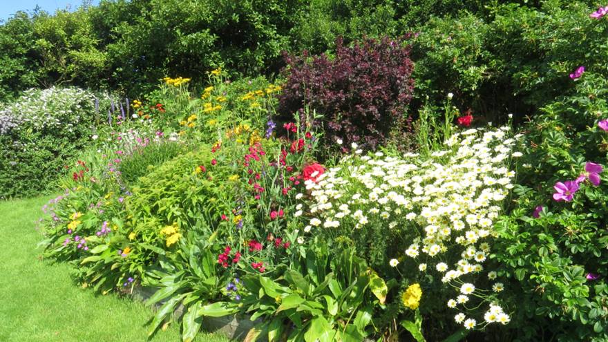 Flower border with white, red and yellow flowers