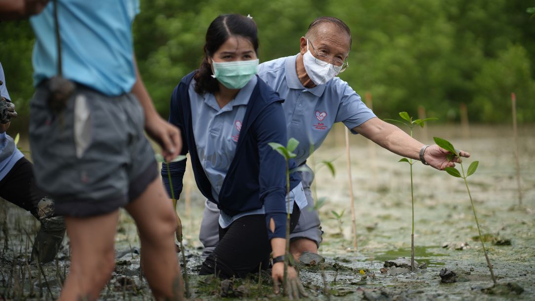 A nature based project in Thailand, where mangroves help control flooding.
