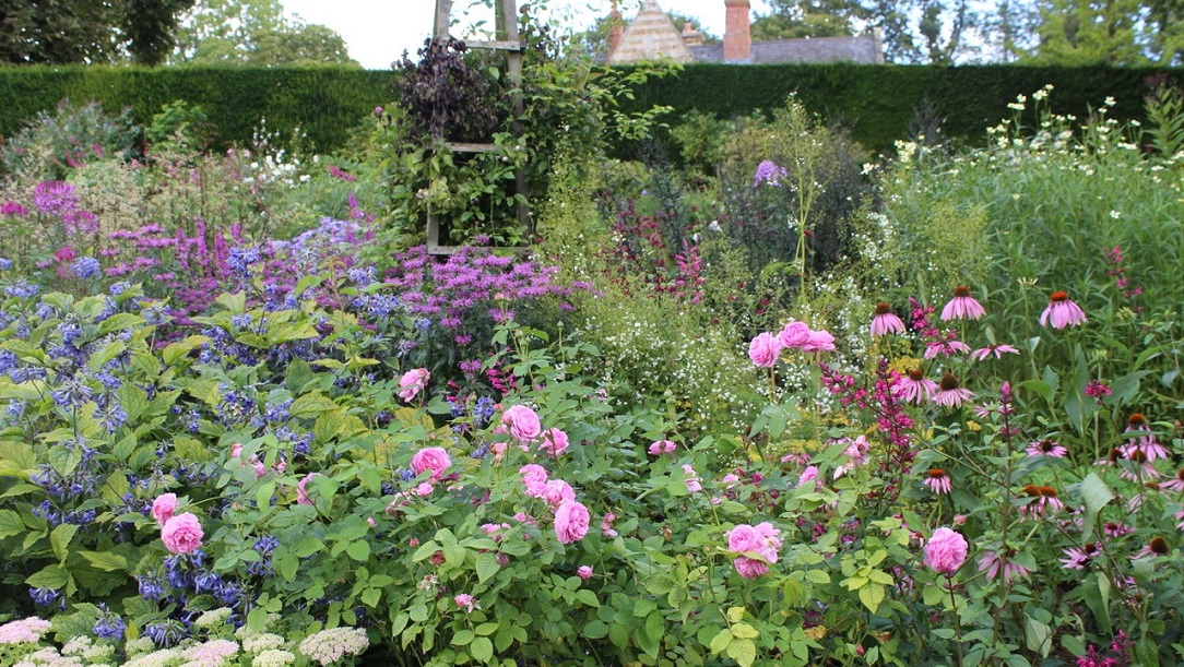 Coton Manor