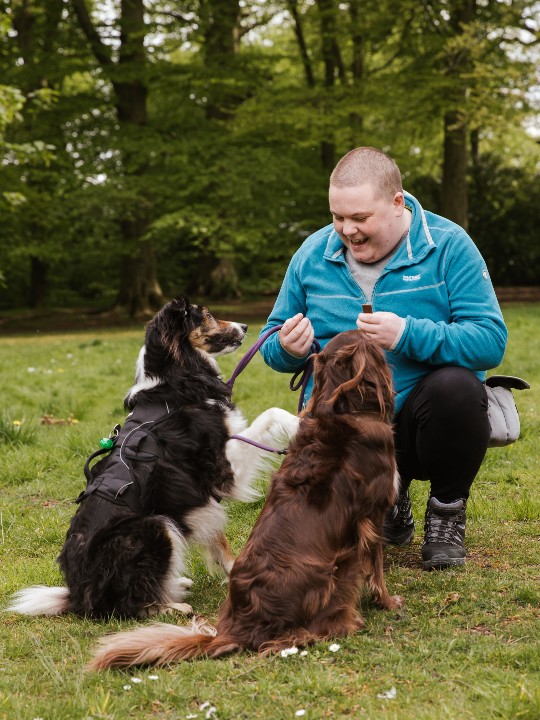 Lisa plays with Tracey's two dogs in a park 