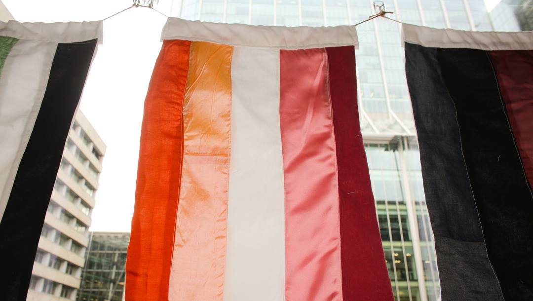 A handmade lesbian pride flag hanging in an office window