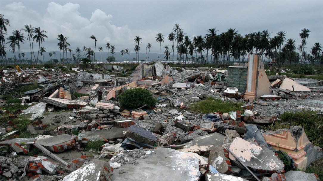 A scene of devastation following a tsunami, with palm trees on the horizon and large chunks of debris seen from the foreground all the way up to the palm trees