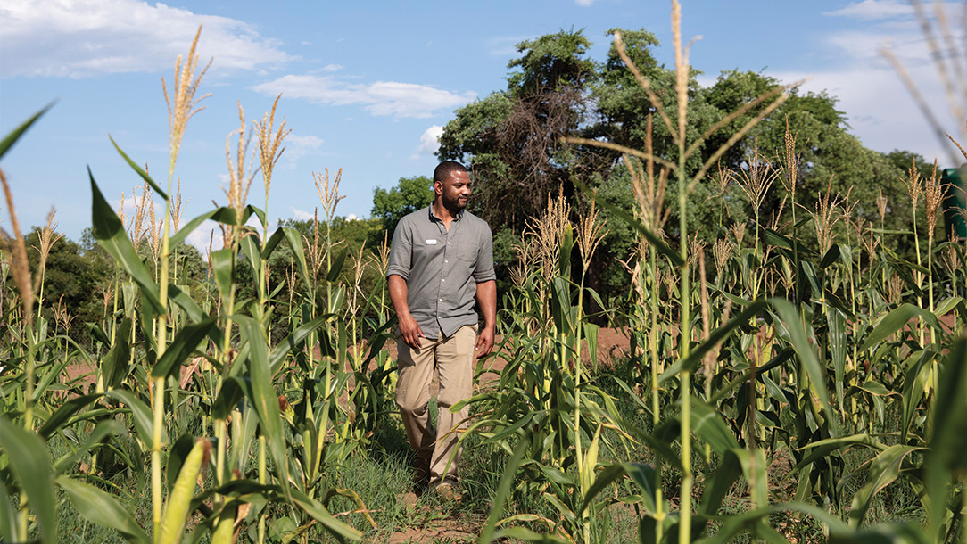 High profile supporter and farmer JB Gill in the Red Cross nutrition garden at Neshuro District Hospital. 